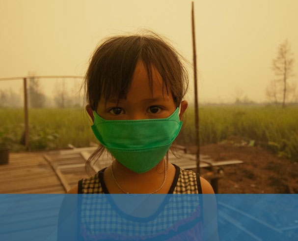 Air Pollution, Including Wildfires, Linked to Signs of Illness in Children